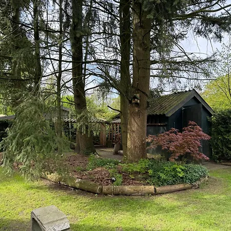 Rust Вортхёйзен