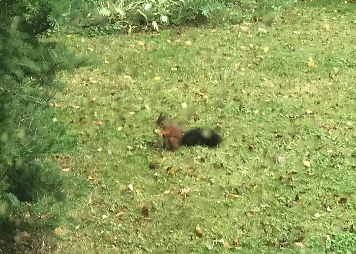 Дом отдыха Rust