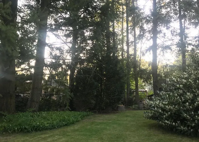 Rust Дом отдыха