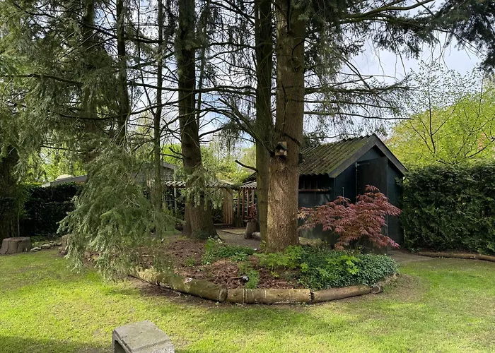 Rust フォールトハイゼン